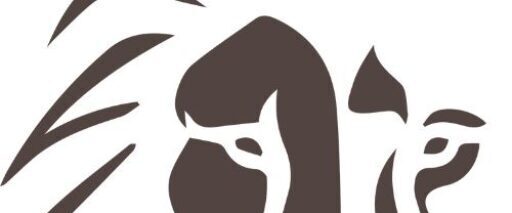 F C BASSI MIDIAS DIGITAIS